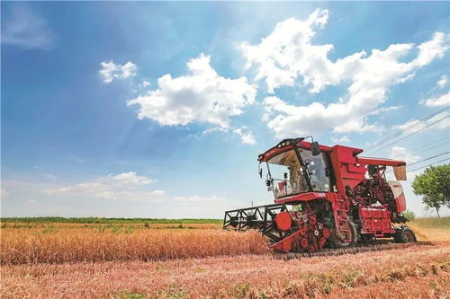 糧農(nóng)組織推動(dòng)種子與作物多樣性發(fā)展，保障全球糧食安全